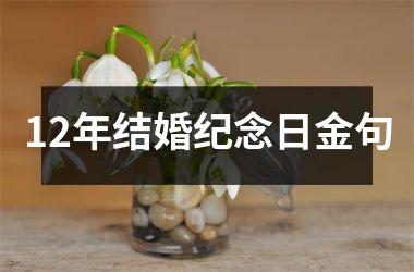 <h3>12年结婚纪念日金句