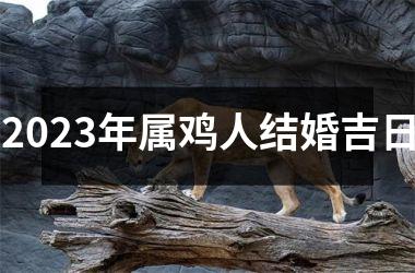 <h3>2025年属鸡人结婚吉日