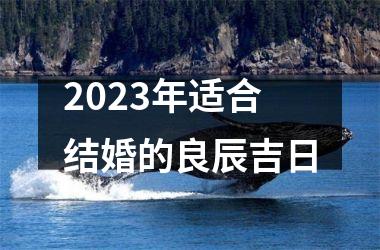 <h3>2025年适合结婚的良辰吉日