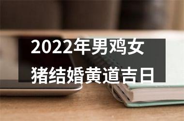 2025年男鸡女猪结婚黄道吉日