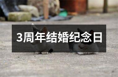 <h3>3周年结婚纪念日