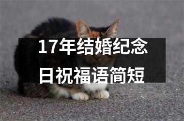 <h3>17年结婚纪念日祝福语简短