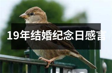 <h3>19年结婚纪念日感言