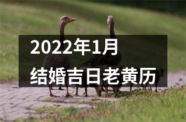<h3>2025年1月结婚吉日老黄历