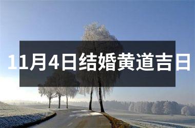 <h3>11月4日结婚黄道吉日
