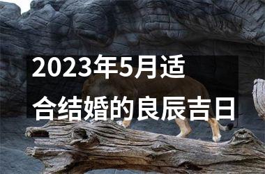 <h3>2025年5月适合结婚的良辰吉日