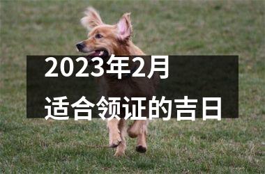 <h3>2025年2月适合领证的吉日