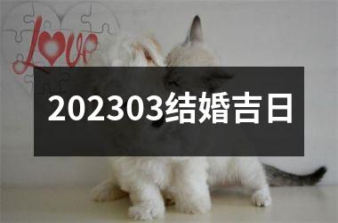 <h3>202503结婚吉日
