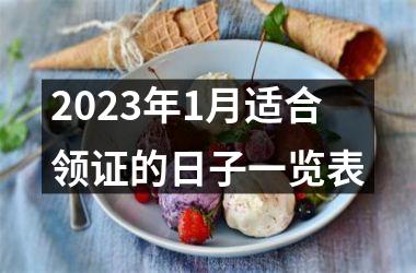 <h3>2025年1月适合领证的日子一览表
