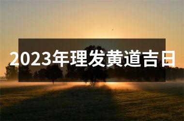 <h3>2025年理发黄道吉日