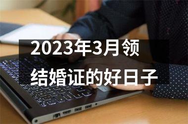 <h3>2025年3月领结婚证的好日子