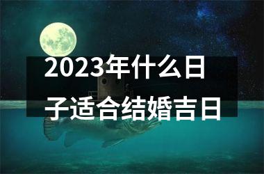 <h3>2025年什么日子适合结婚吉日