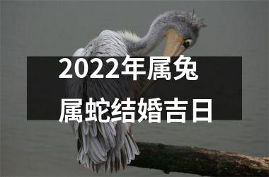 2022年属兔属蛇结婚吉日