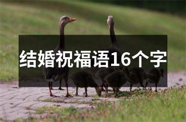 <h3>结婚祝福语16个字