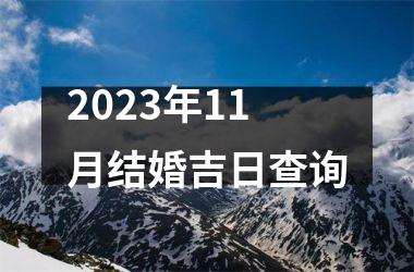 <h3>2025年11月结婚吉日查询