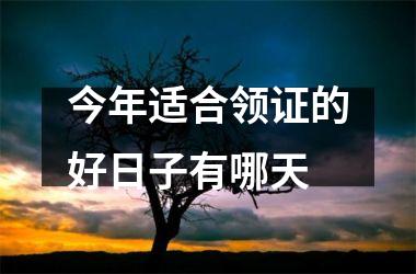 <h3>今年适合领证的好日子有哪天