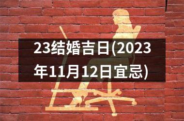 <h3>23结婚吉日(2025年11月12日宜忌)