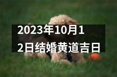 <h3>2025年10月12日结婚黄道吉日