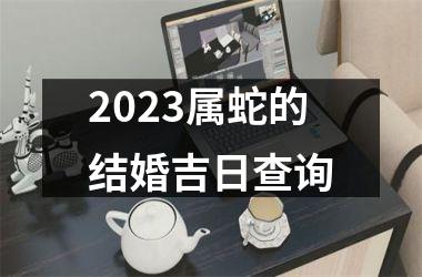 2023属蛇的结婚吉日查询