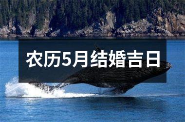 <h3>农历5月结婚吉日