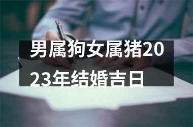 男属狗女属猪2023年结婚吉日