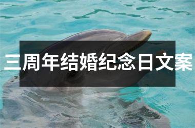 <h3>三周年结婚纪念日文案