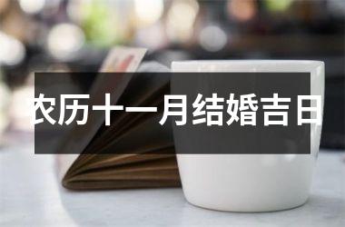 <h3>农历十一月结婚吉日