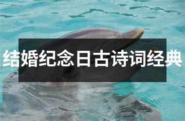 结婚纪念日古诗词经典