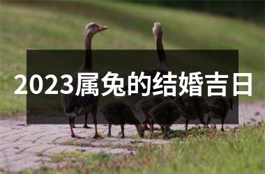 2025属兔的结婚吉日