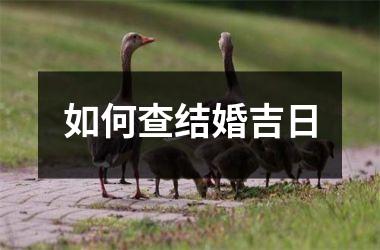 <h3>如何查结婚吉日