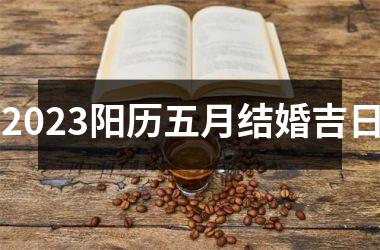 <h3>2025阳历五月结婚吉日