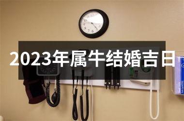 <h3>2025年属牛结婚吉日