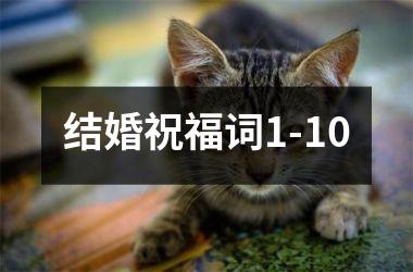 结婚祝福词1-10