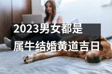 2023男女都是属牛结婚黄道吉日