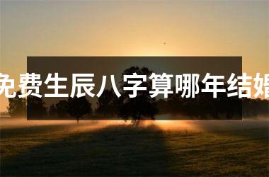 <h3>免费生辰八字算哪年结婚