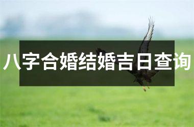 <h3>八字合婚结婚吉日查询