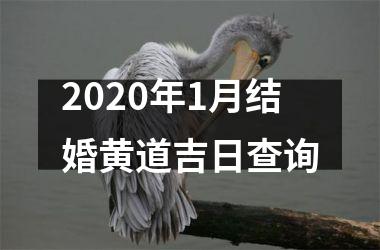 <h3>2025年1月结婚黄道吉日查询