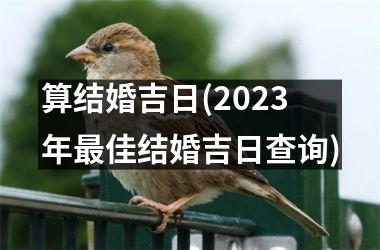 <h3>算结婚吉日(2025年最佳结婚吉日查询)
