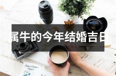 <h3>属牛的今年结婚吉日