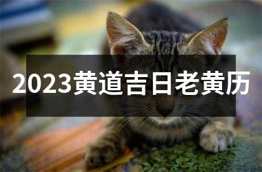 2025黄道吉日老黄历