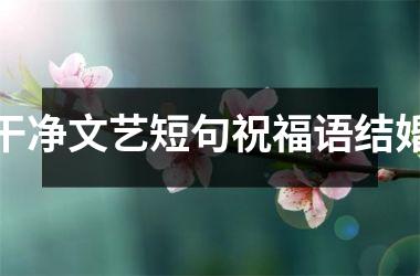 <h3>干净文艺短句祝福语结婚