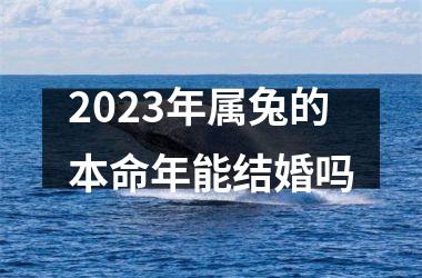 <h3>2025年属兔的本命年能结婚吗