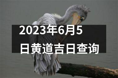 <h3>2025年6月5日黄道吉日查询