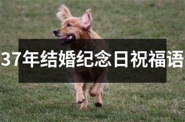 <h3>37年结婚纪念日祝福语