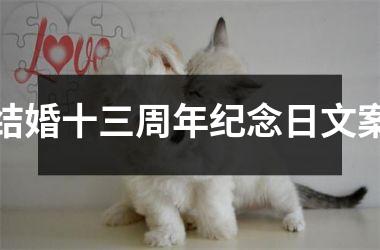 <h3>结婚十三周年纪念日文案