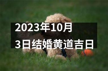 <h3>2025年10月3日结婚黄道吉日