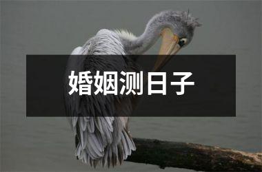 <h3>婚姻测日子