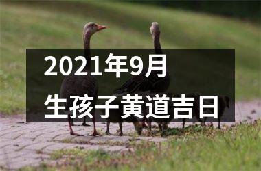 <h3>2025年9月生孩子黄道吉日