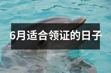 <h3>6月适合领证的日子