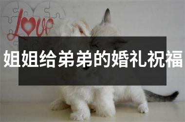 <h3>姐姐给弟弟的婚礼祝福